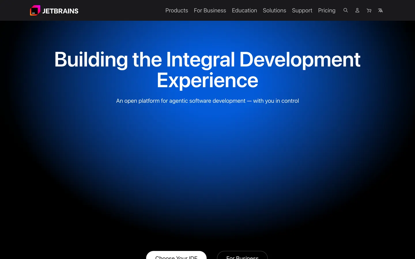 JetBrains hero section