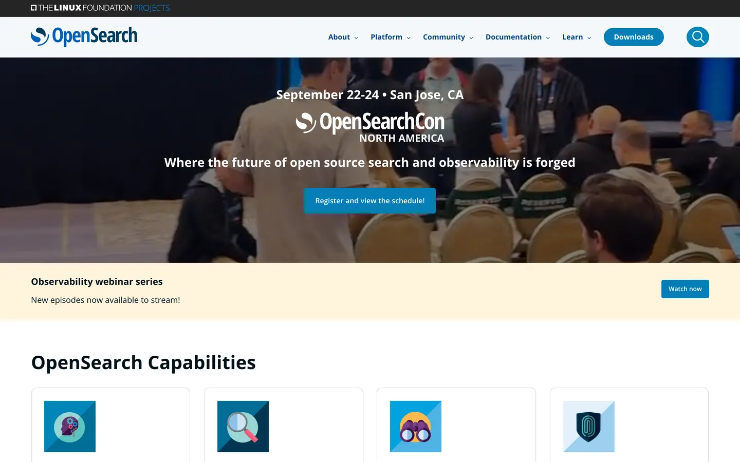 OpenSearch hero section